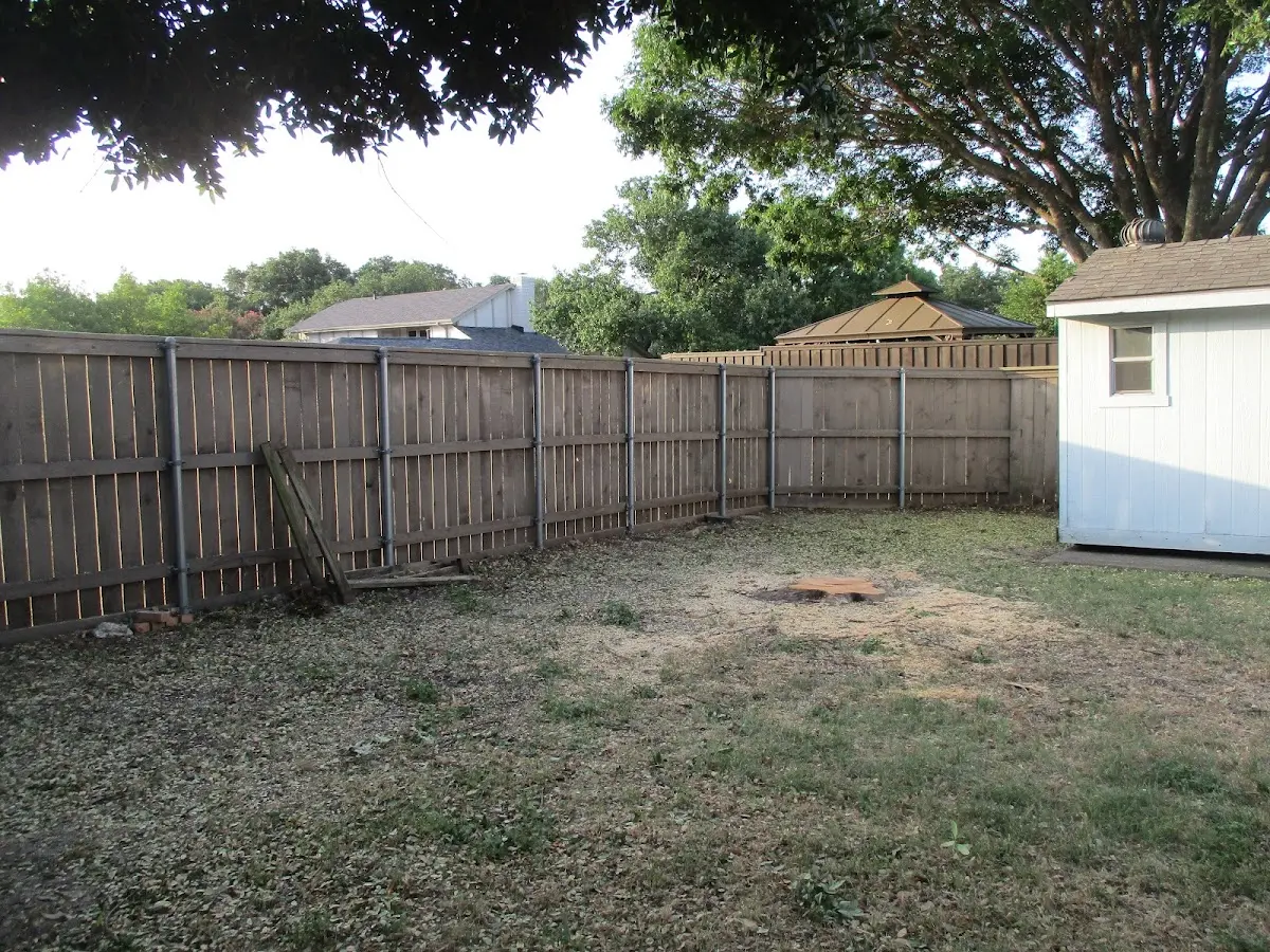 Cleared yard after professional tree removal in New Madrid